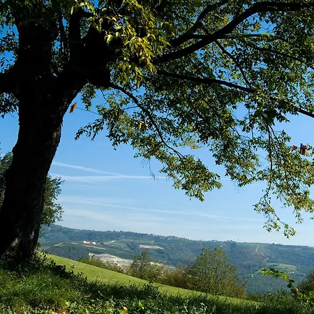Delo Feriegård *